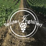 cday22-tenuteinghilleri